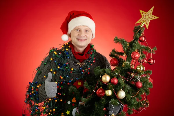 Uomo con albero di Natale — Foto Stock