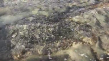 Water walk