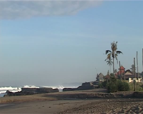 Costa del mar con enormes piedras, palmeras y chozas — Vídeo de stock