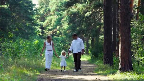 Familjen promenad — Stockvideo