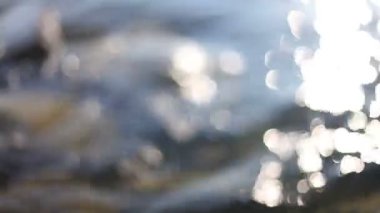 su üstünde parıldıyor