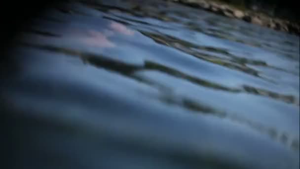 夏天游泳的人 — 图库视频影像
