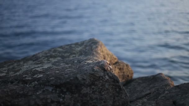 Promenade côtière — Video