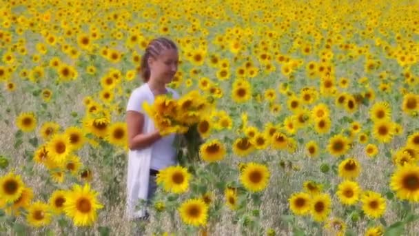 Sunflower happiness — Stock Video