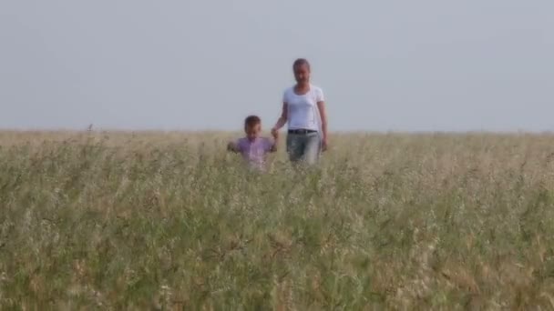 Família em campos — Vídeo de Stock