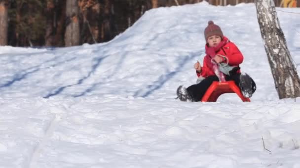 Girl on sledge — Stock Video