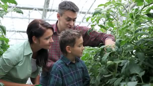 Family in greenhouse — Stock Video