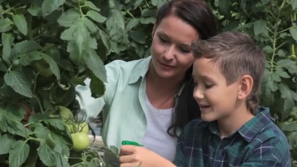 Agricultores — Vídeo de Stock