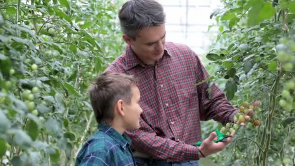 Agricultores — Vídeo de Stock