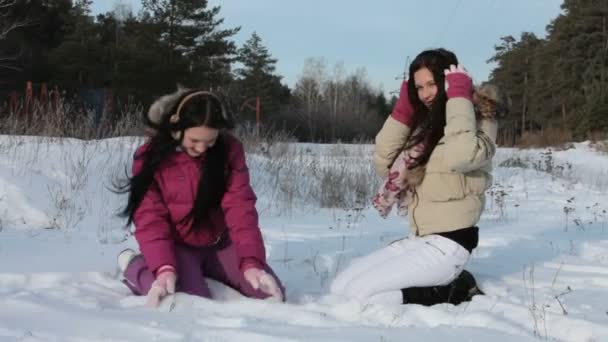 Leker i snön — Stockvideo