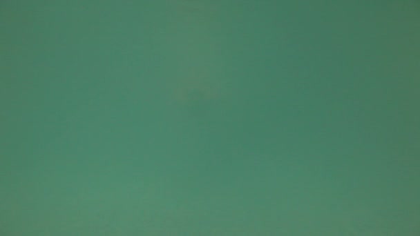 游泳在水之下 — 图库视频影像