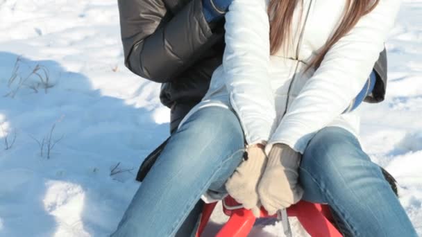 Smiling couple on sledge — Stock Video