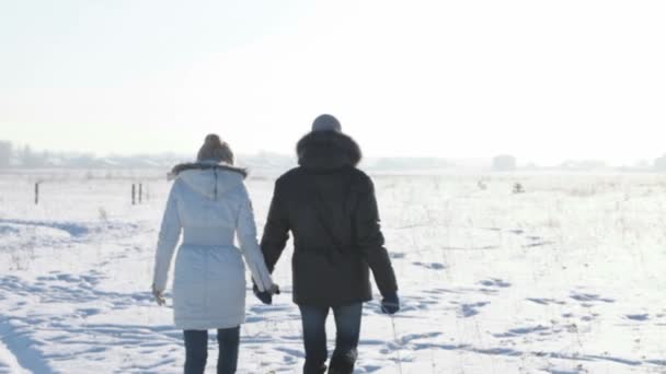 Wandelen met slee — Stockvideo