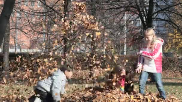 Parkstreit im Herbst — Stockvideo