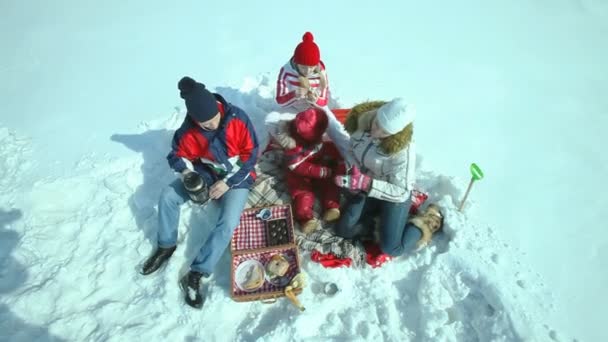 Пикник зимой — стоковое видео