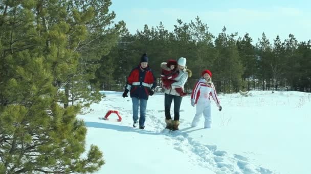 Caminhada nevada — Vídeo de Stock