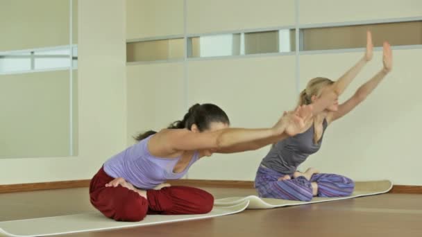 Exercícios Yoga — Vídeo de Stock