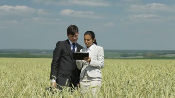 Cultivar el negocio — Vídeos de Stock