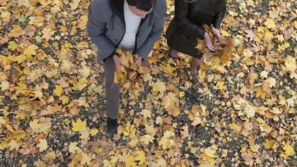 Осенний дух — стоковое видео