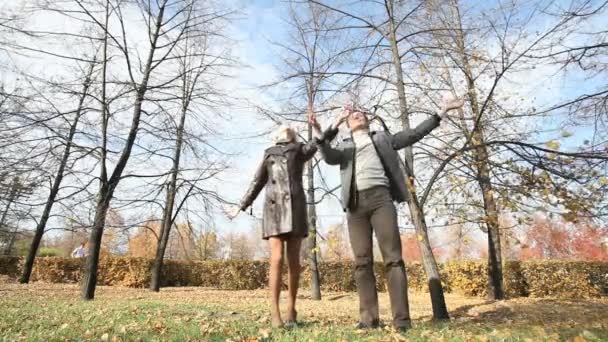 Windiger Herbst — Stockvideo