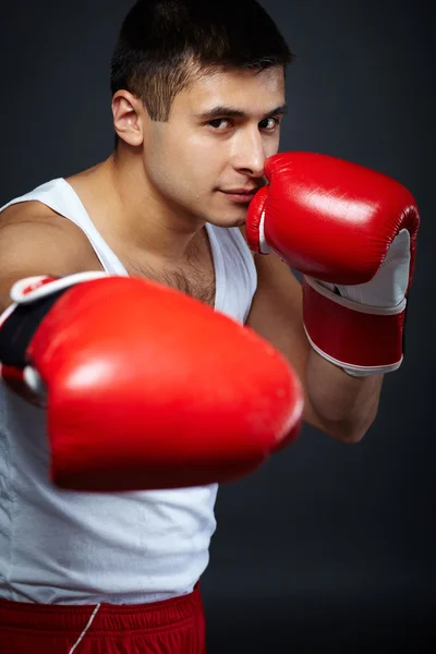 Boxeador masculino — Foto de Stock