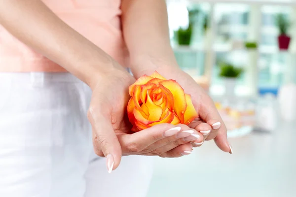 Nail spa — Stock Photo, Image