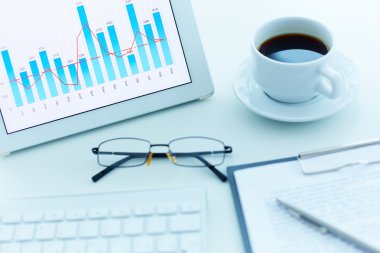 finansal rapor