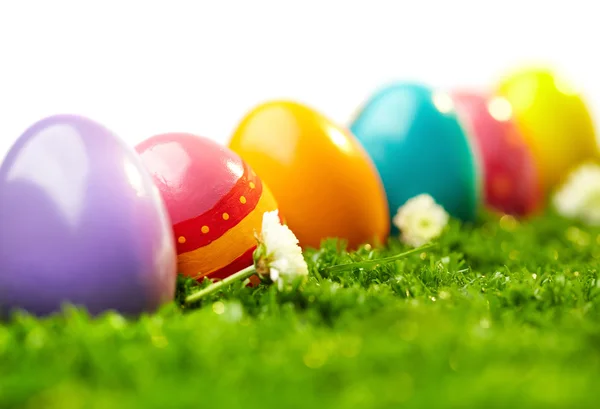 Colorful eggs — Stock Photo, Image