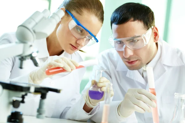 Team of researchers — Stock Photo, Image