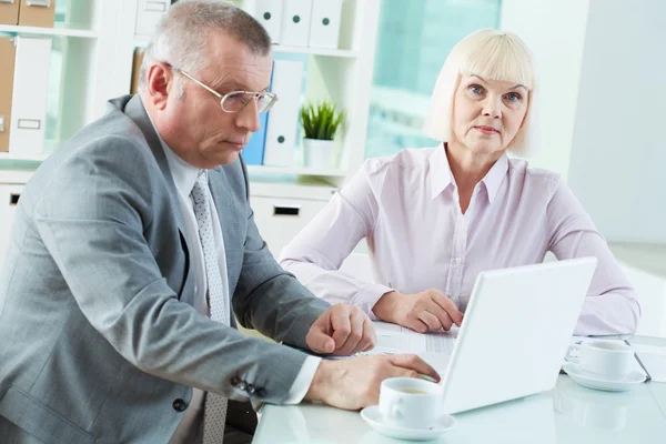 Business meeting — Stock Photo, Image