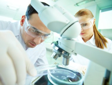 Laboratuar Araştırmaları