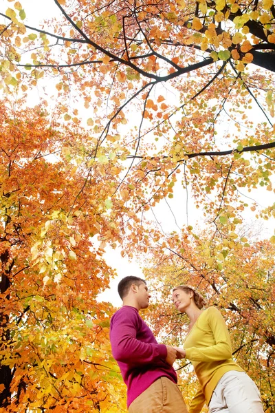 Stagione romantica — Foto Stock