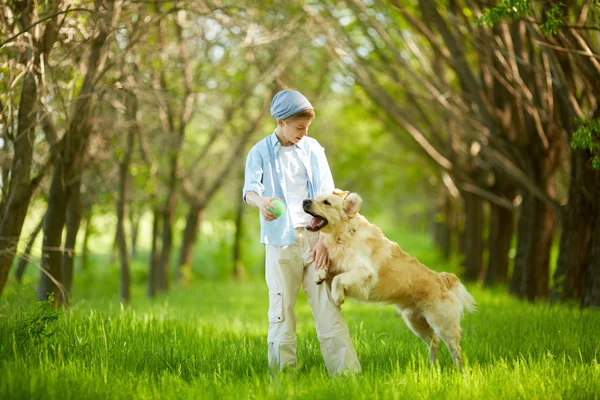 犬と遊ぶ — ストック写真