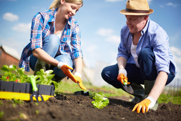 Farmers working