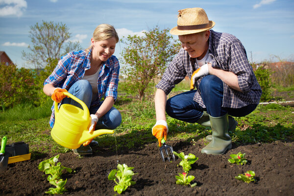 Farmers in the garden