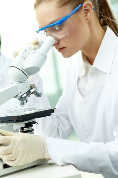 Working with microscope