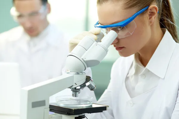 Clinical experiment Stock Image