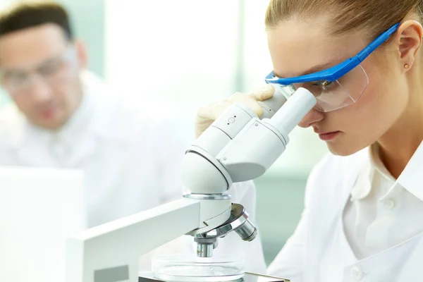 Substância química em estudo — Fotografia de Stock