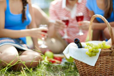 piknik alanı sağlama