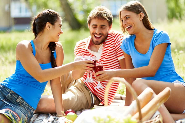 Toast auf Freundschaft — Stockfoto