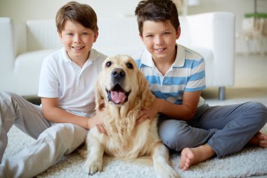 arkadaş canlısı şirket