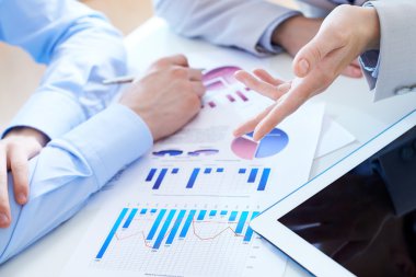 finansal rapor