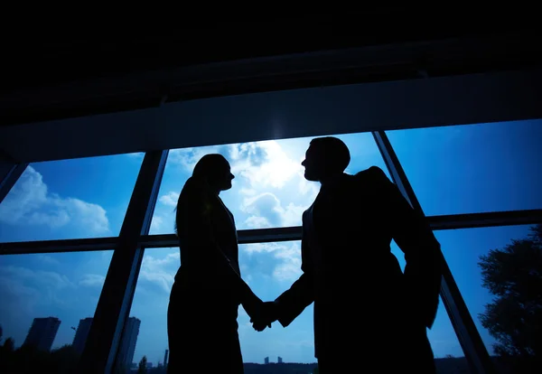 Parceiros de negócios handshaking — Fotografia de Stock