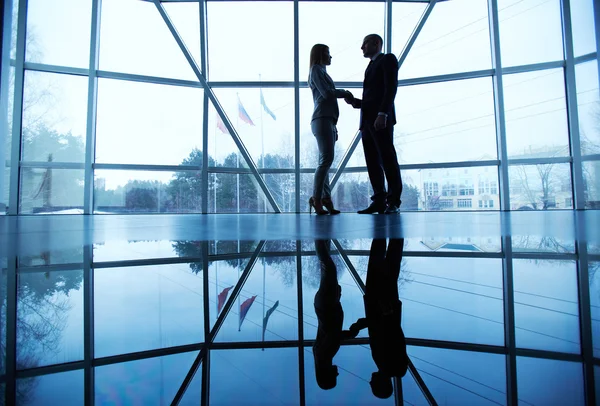 Parceiros de negócios handshaking — Fotografia de Stock