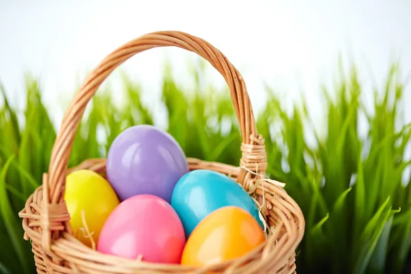 Eggs in basket — Stock Photo, Image