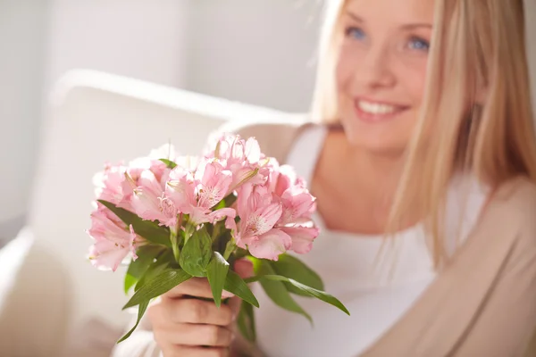 Blomma glädje — Stockfoto