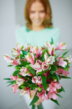 erkek tarafından düzenlenen lilyum