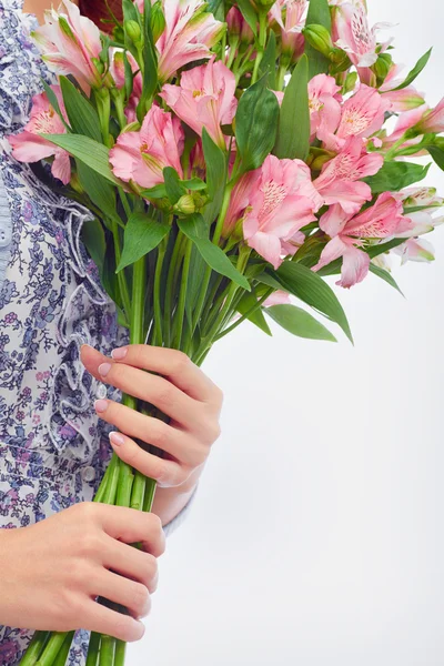 Beautiful lilies — Stock Photo, Image