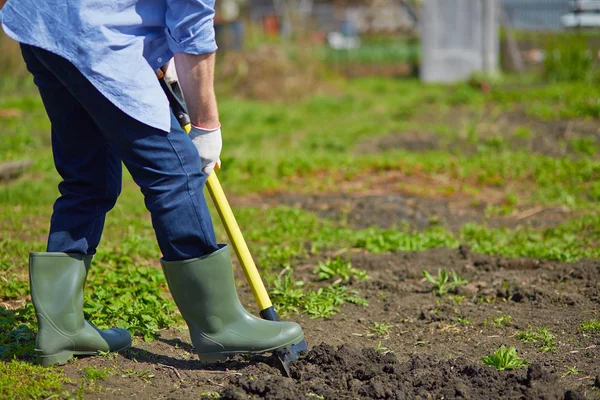 Contadino che scava nel giardino — Foto Stock