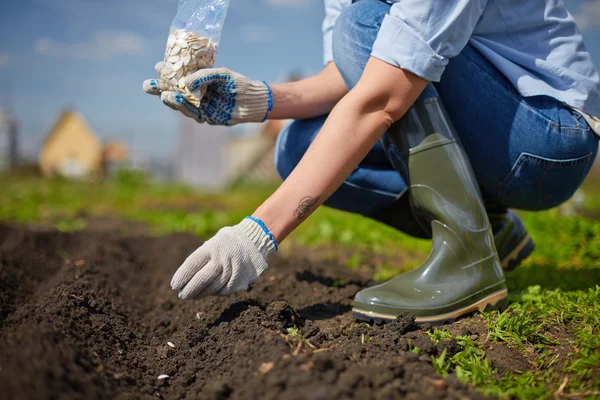 Farmer sowing seed — Stock Photo, Image
